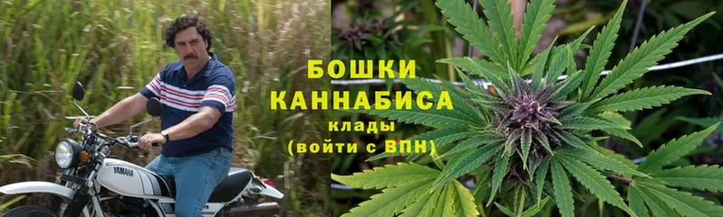 маркетплейс официальный сайт  Магадан  Бошки Шишки White Widow  купить наркоту 